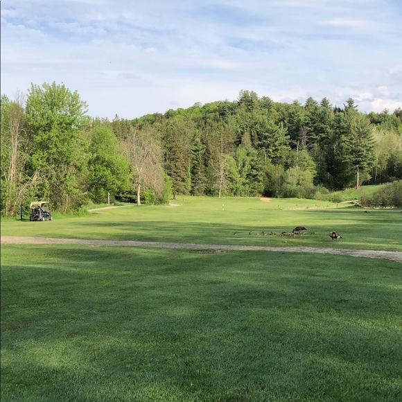 Meet your Posher, Sherri - Picture 1 of 1